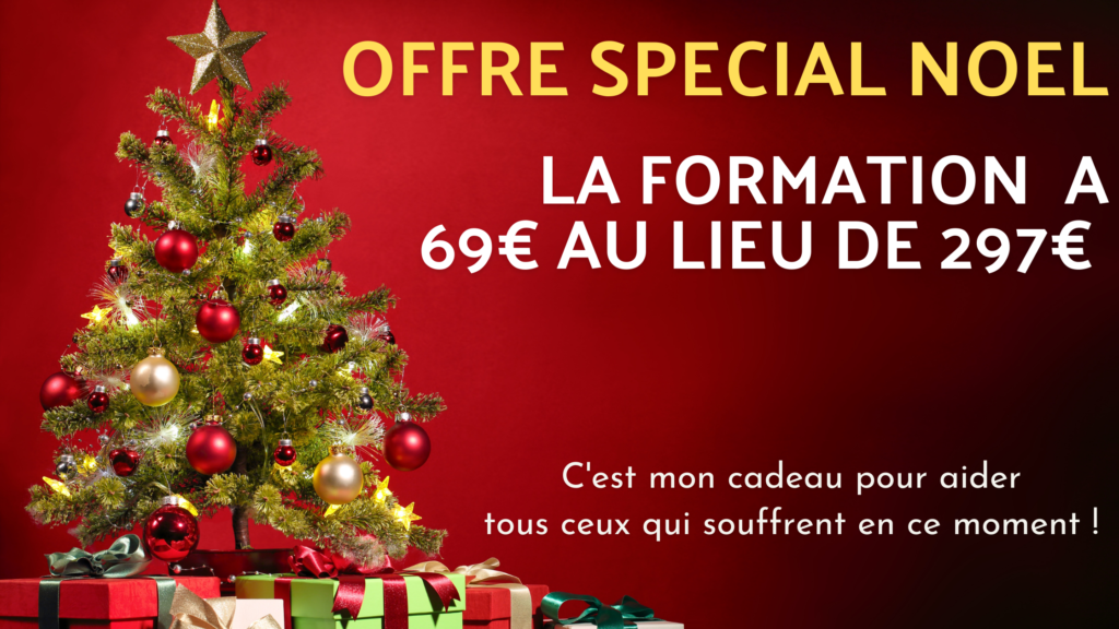 Bannière offre 69€